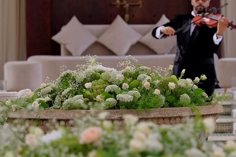 Elegant Live Performances